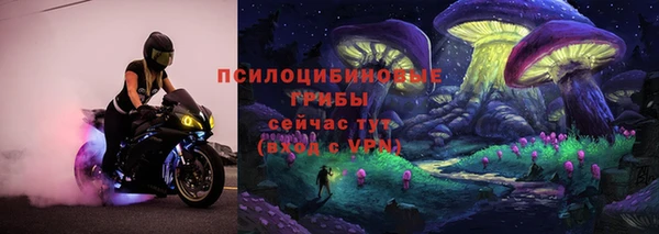 спайс Арсеньев