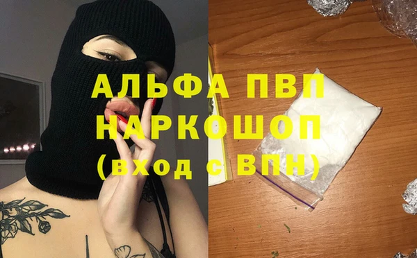 спайс Арсеньев
