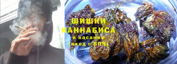 спайс Арсеньев
