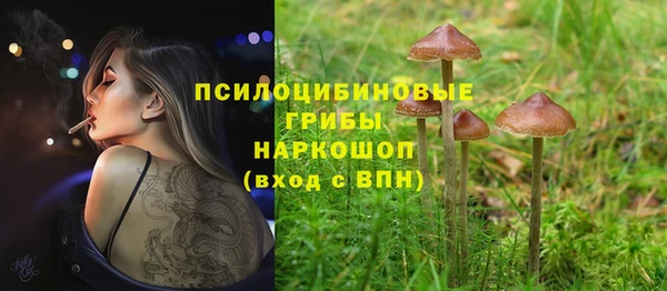 спайс Арсеньев